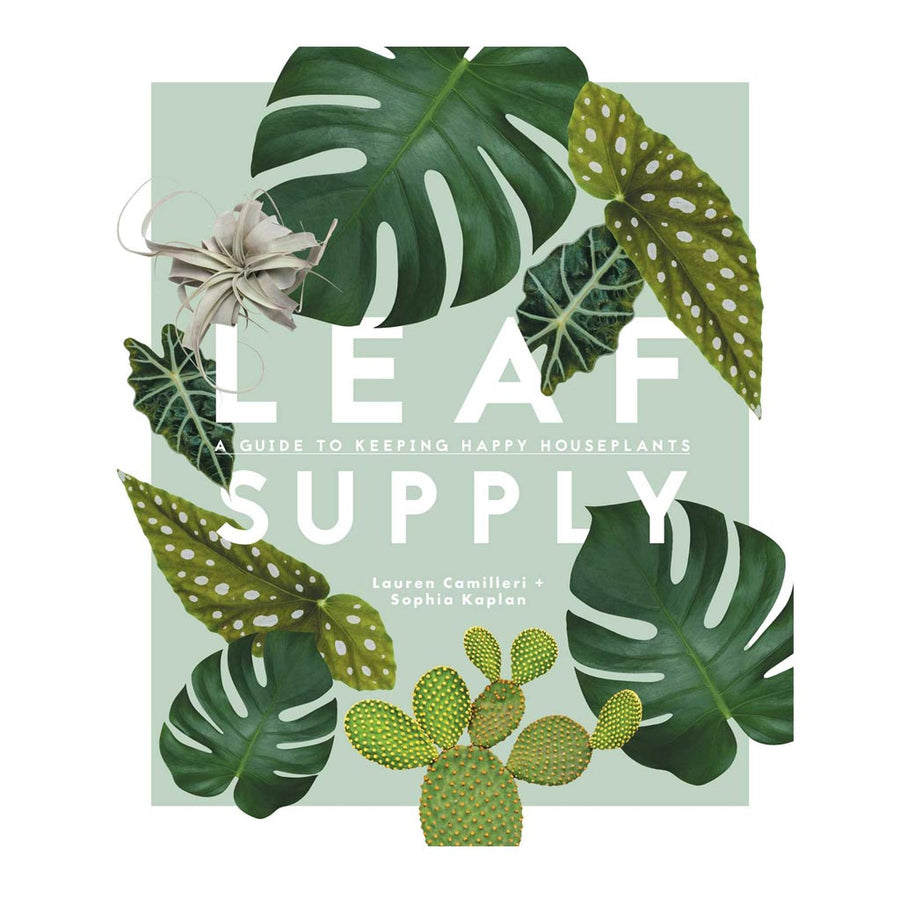 Coffee Table Books-Smith Street Books - Lauren Camilleri + Sophia Kaplan - Leaf Supply: A Guide to Keeping Happy House Plants - 9781925418637
