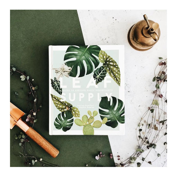 leaf supply a guide to keeping happy house plants Leaf Supply: A Guide to Keeping Happy House Plants – The Design Edit