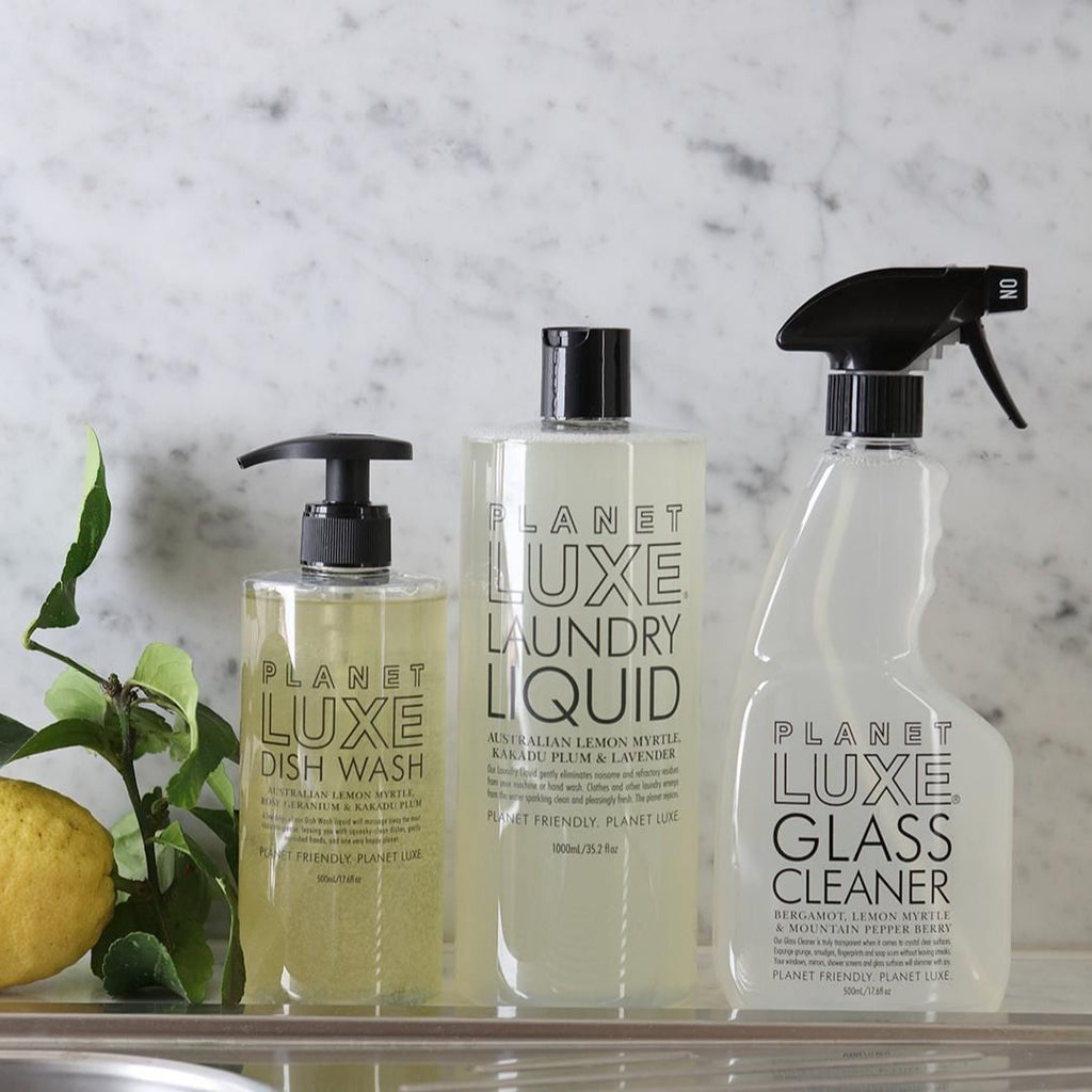 Home Cleaning Planet Luxe Dish wash lifestyle DW0001-500