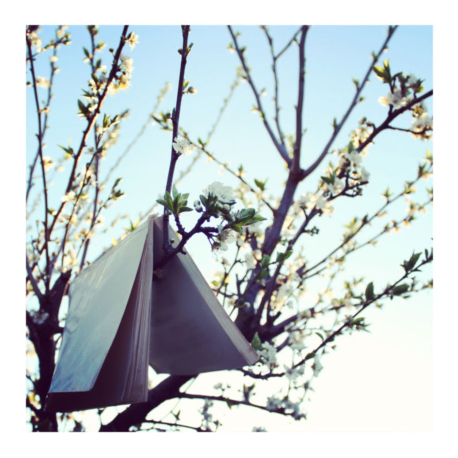 From the Morning Reignbow Tree and Book Photo Print