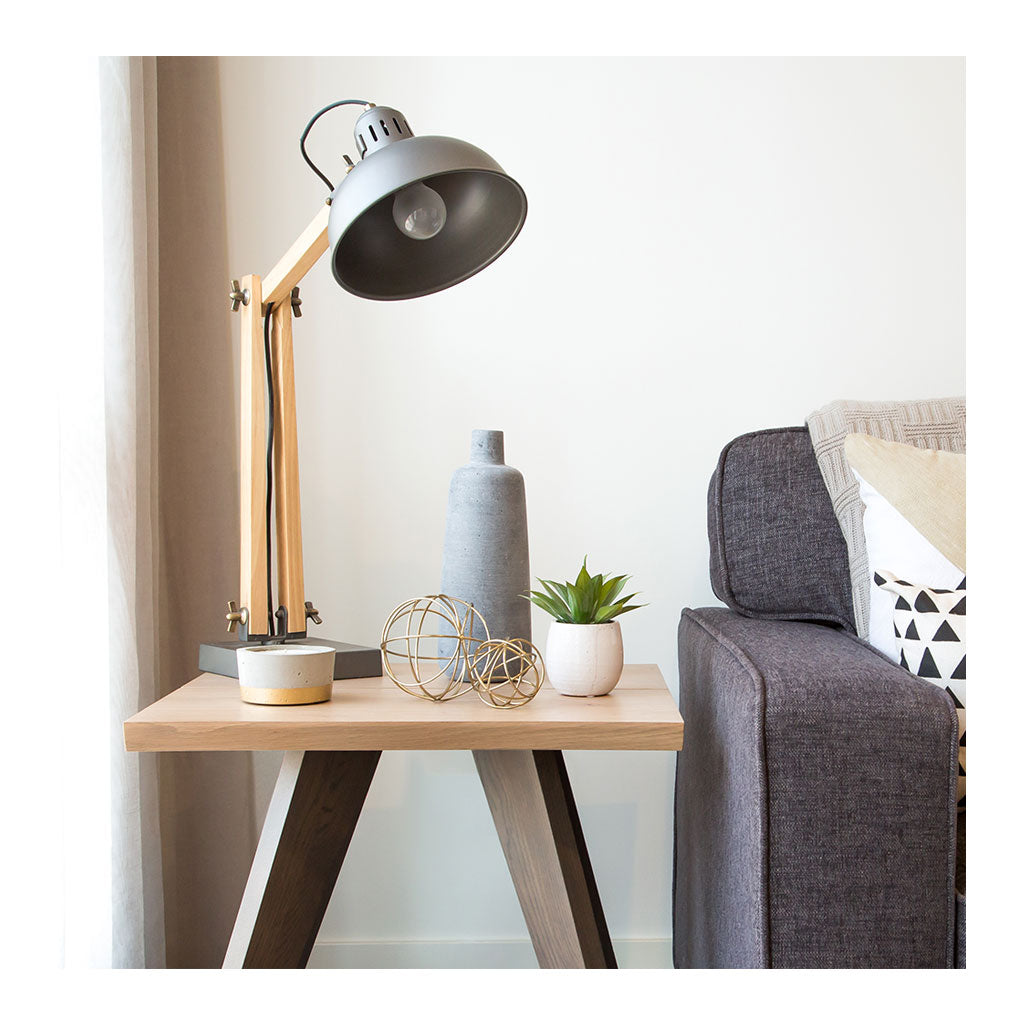 Plants Rogue Agaves in Tub Pots, Set of 2 71.5434.01GN