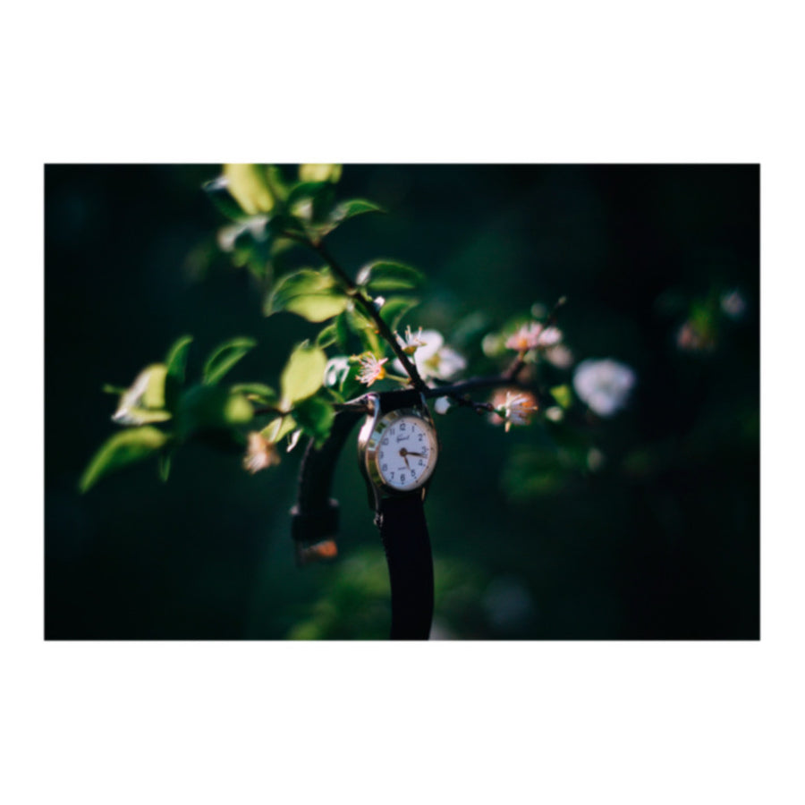 All Things Go Reignbow Watch Photo Print