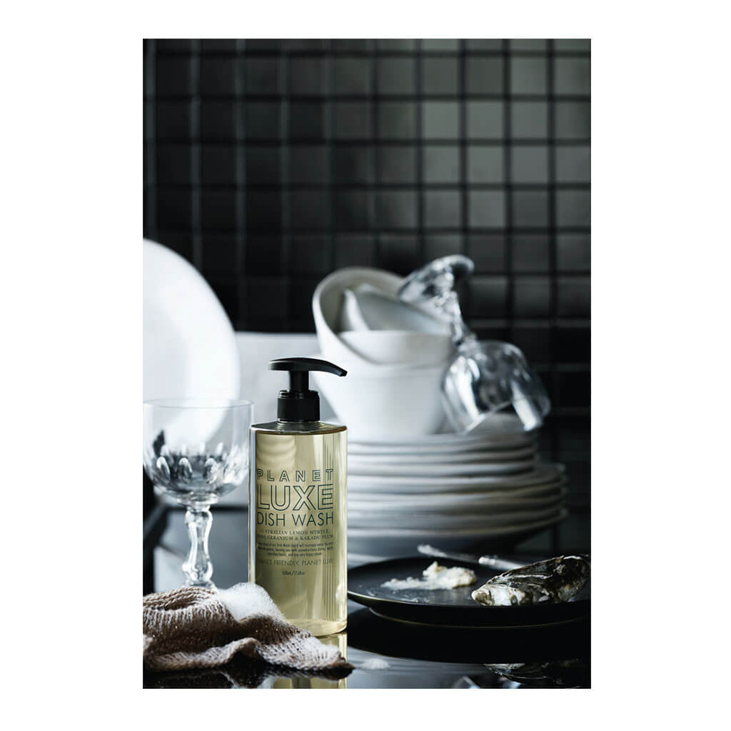Home Cleaning Planet Luxe Dish wash lifestyle DW0001-500